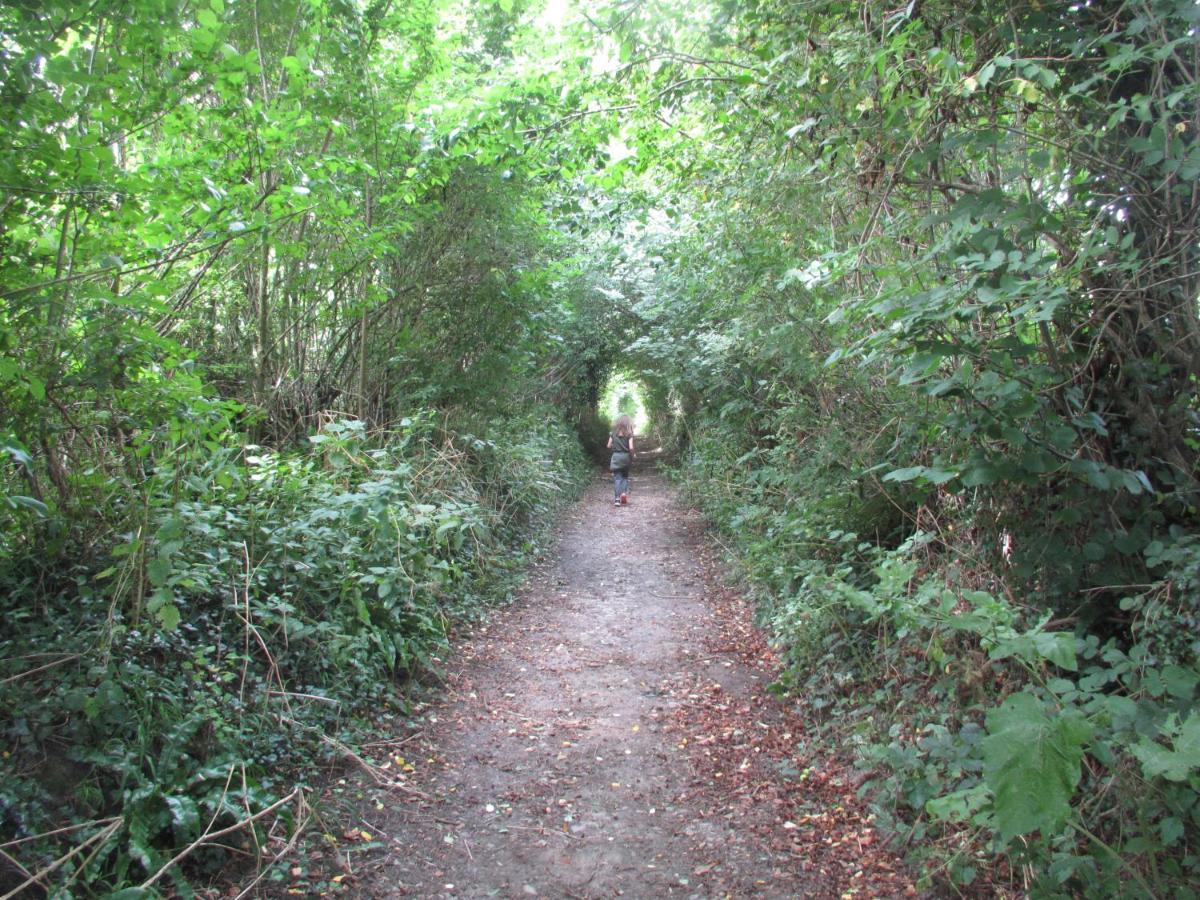 On The Brook Villa Bruton Esterno foto